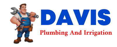 Trusted plumber in RUMSEY